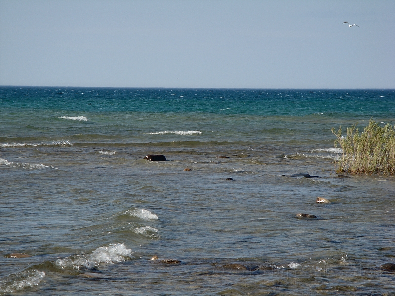 Western Michigan [2010] 844.JPG - Scenes from our trip to Western Michigan. Some places along the way were Ludington, Sleep Bear Dunes, and Traverse City.